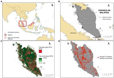 Predicting Plasmodium knowlesi transmission risk across Peninsular Malaysia using machine learning-based ecological niche modeling approaches
